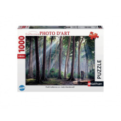 Puzzle 1000 pièces - forêt...
