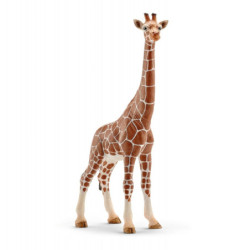 SCHLEICH Girafe Femelle