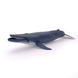 Figurine Baleine bleue - Papo
