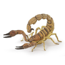 Scorpion - PAPO - 50209